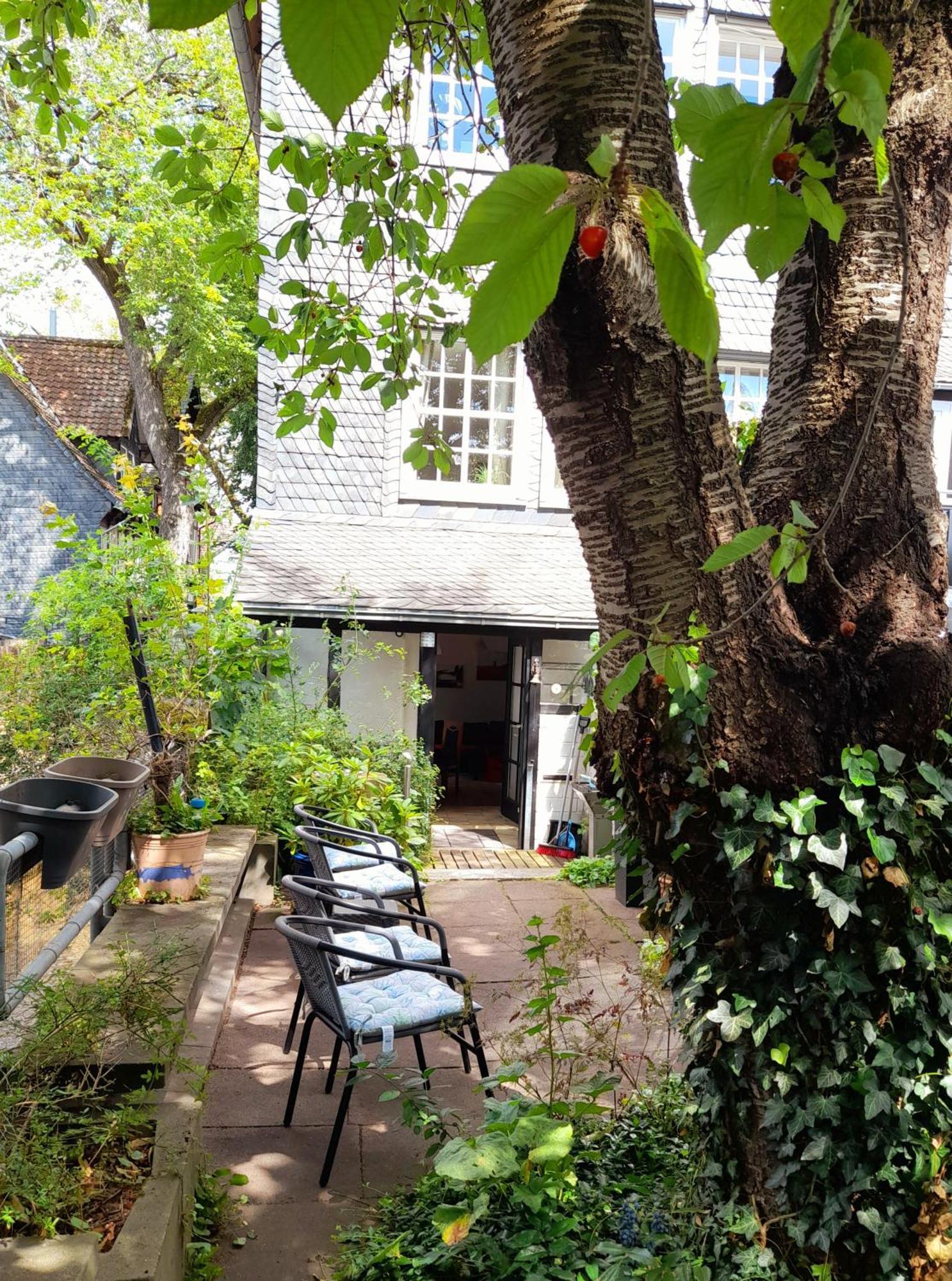 Ferienwohnung "Beste Lage" Altstadt Mit Terrasse Γκόσλαρ Εξωτερικό φωτογραφία
