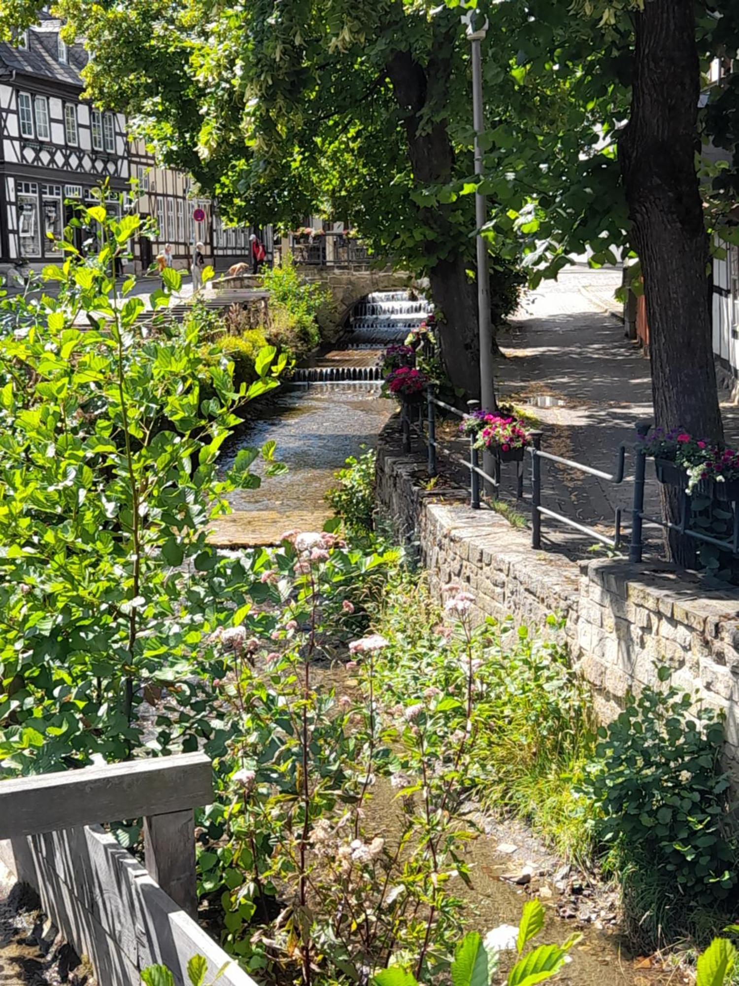 Ferienwohnung "Beste Lage" Altstadt Mit Terrasse Γκόσλαρ Εξωτερικό φωτογραφία