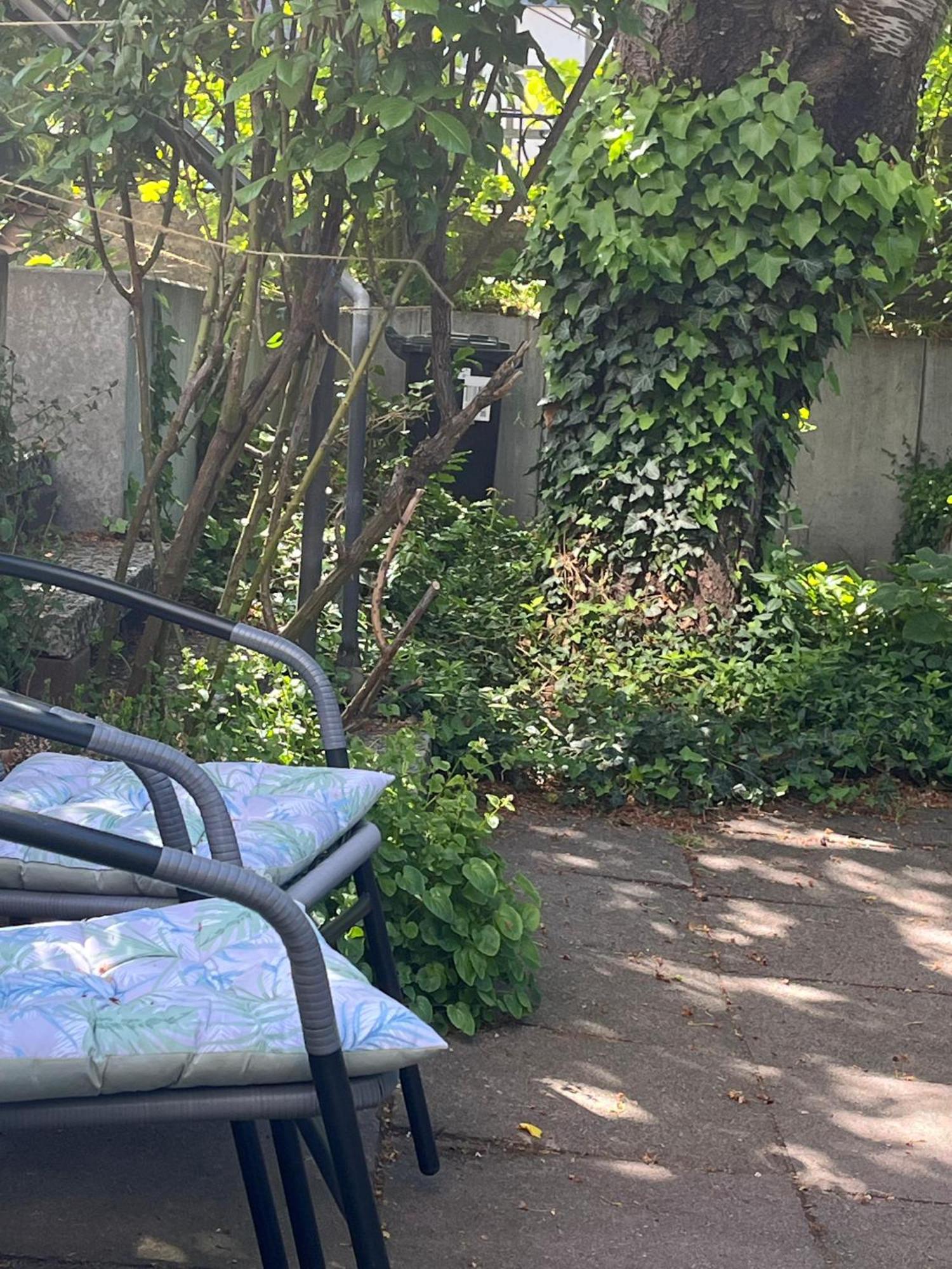 Ferienwohnung "Beste Lage" Altstadt Mit Terrasse Γκόσλαρ Εξωτερικό φωτογραφία